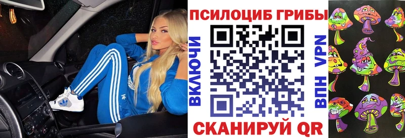 Псилоцибиновые грибы мухоморы  мориарти официальный сайт  Новотроицк 
