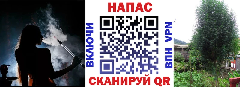 Бошки марихуана марихуана  Новотроицк 